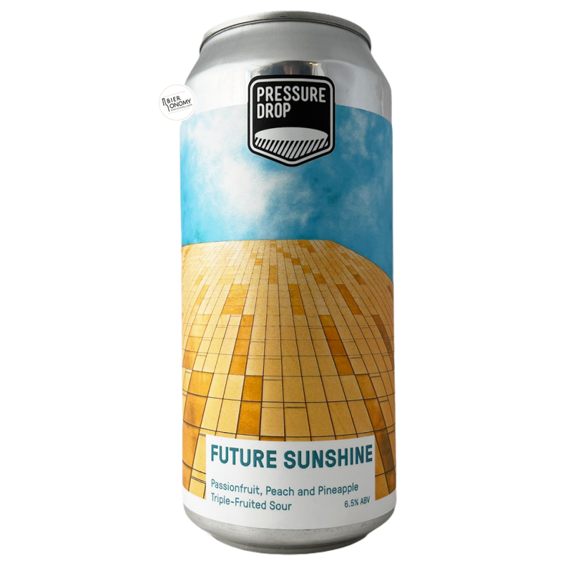 Bière Future Sunshine Triple Fruited Sour 44 cl Brasserie Pressure Drop
