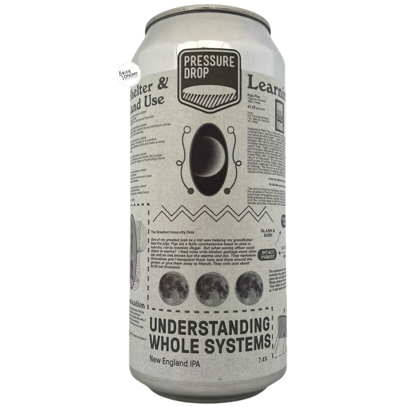 Bière Understanding Whole Systems NEIPA 44 cl Brasserie Pressure Drop Brewing