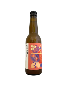 Bière Double Citra IPA 33 cl Brasserie Cambier