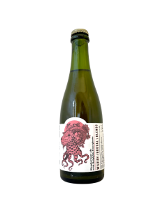 Bière Blended Sour Ale With Malpighia Emarginata 37,5 cl Wildery Brutal Blends