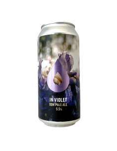 Bière In Violet NE DDH Pale Ale 44 cl Brasserie Polly's