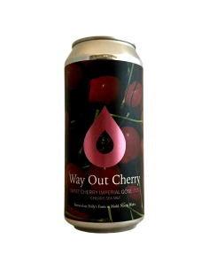 Brasserie Polly's Brew Co Bière Way Out Cherry Imperial Gose 44 cl