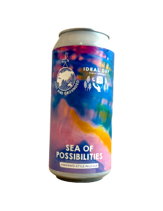 Brasserie Lost And Grounded Brewers Bière Sea of Possibilities Ardennes-Style Pale Ale 44 cl