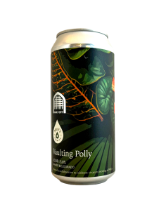 Brasserie Polly's Brew Co Vault City Brewing Bière Vaulting Polly Sour 44 cl