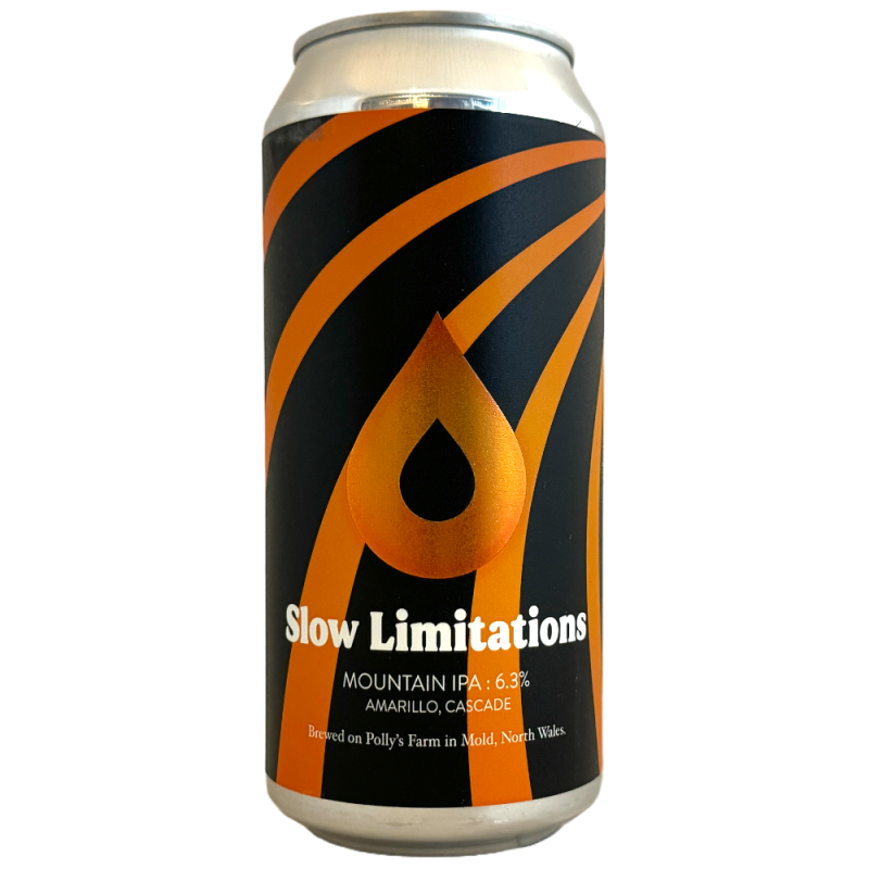 Brasserie Polly's Brew Co Bière Slow Limitations IPA 44 cl