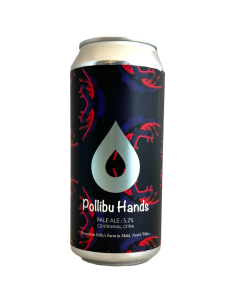 Brasserie Polly’s Brew Co Bière Pollibu Hands Pale Ale 44 cl
