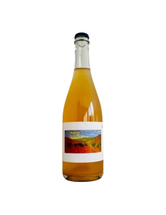 Let The Sunshine In Cidre Extra Brut Brasserie Mosaïque Bouteille 75 cl