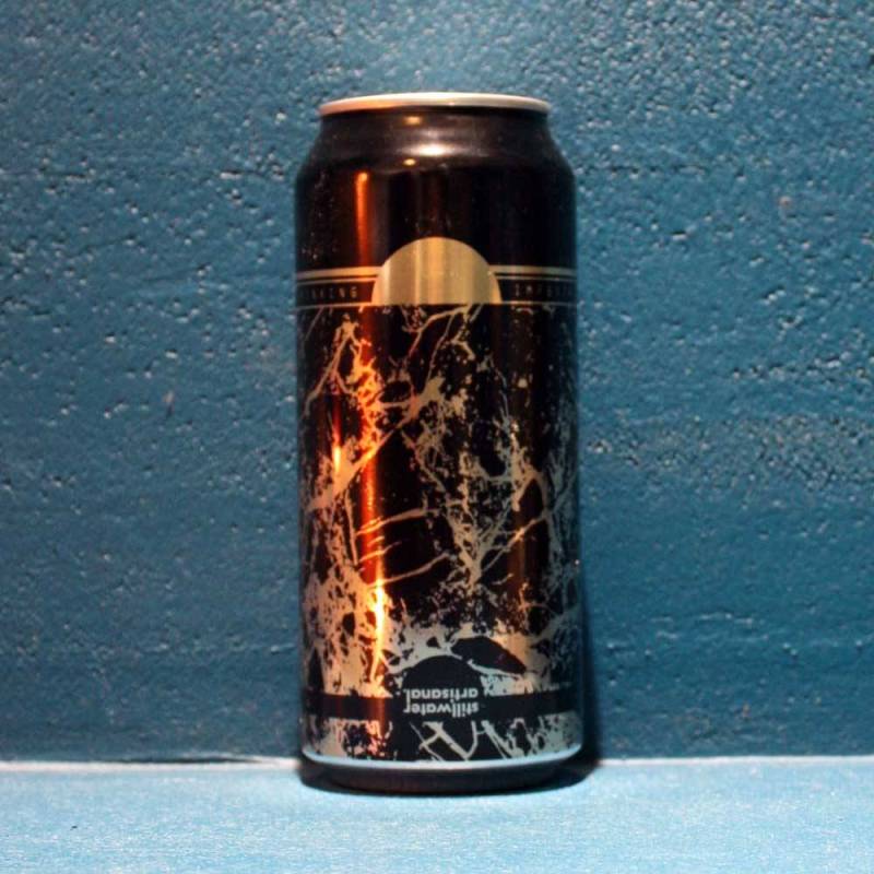 Bière Critical Thinking 47,3 cl Stillwater Artisanal Brewery