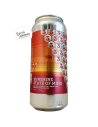 biere-sunshine-state-of-mind-ddh-pale-ale-3-sons-brewing-co