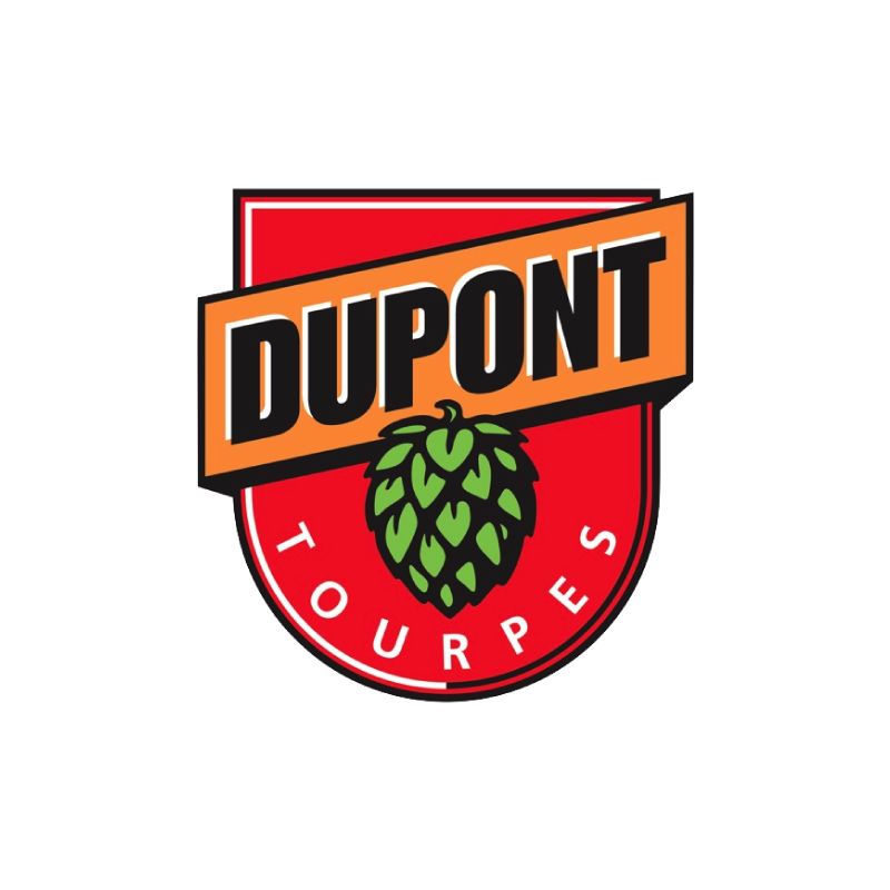 Assortiment Brasserie Dupont 6 bières artisanales belges